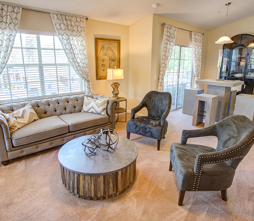 Furnished apartment living space